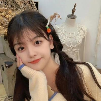 秀水河子歼灭战